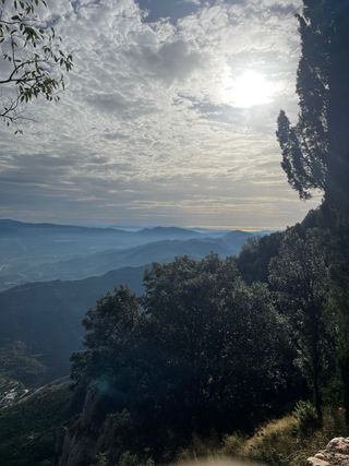 Me ofrezco para limpiar , cuidar o otras ofertas
