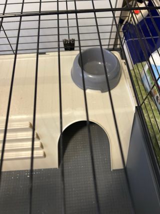 Jaula conejo/cobayas