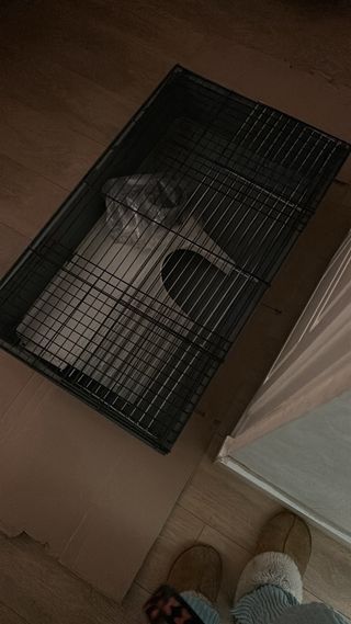Jaula conejo/cobayas