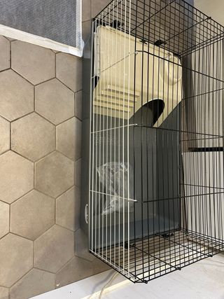 Jaula conejo/cobayas