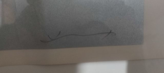 serigrafia Hsiao Chin 70x50 prova d'autore