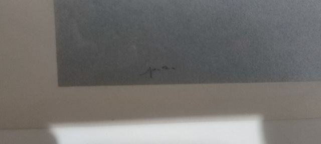 serigrafia Hsiao Chin 70x50 prova d'autore