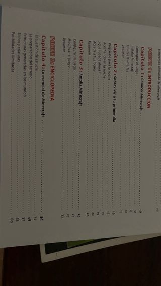 Libro Minecraft