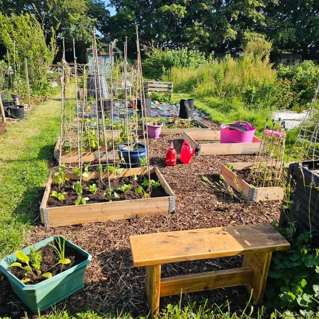 BANCO DE MADERA MACIZA