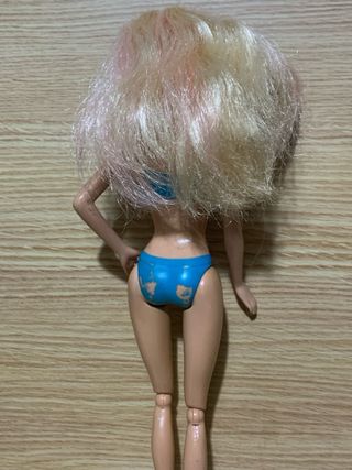 Barbie sirenita y surfista