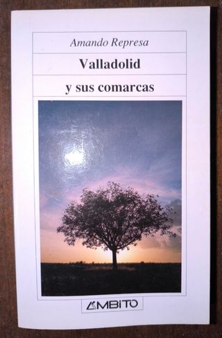 Valladolid 11 libros arte e historia