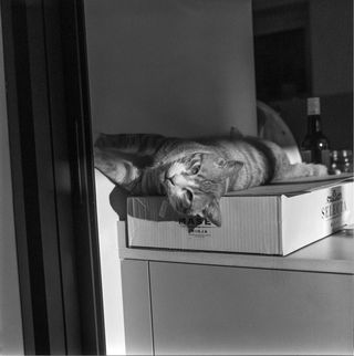 Revelado y escaneado de negativos