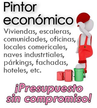 PINTOR ECONÓMICO