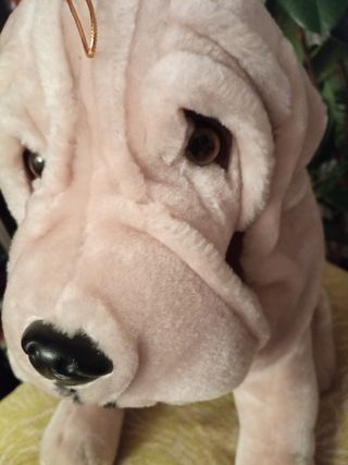 Peluche perro Sharpei