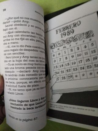 Libro Resuelve el misterio lote