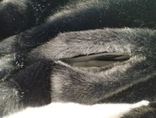 Abrigo imitación visón.