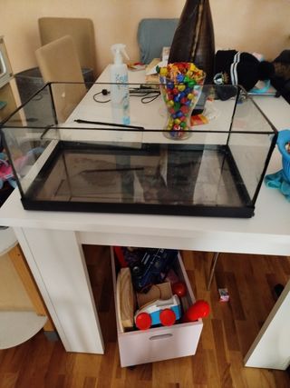 Terrareo para tortuga