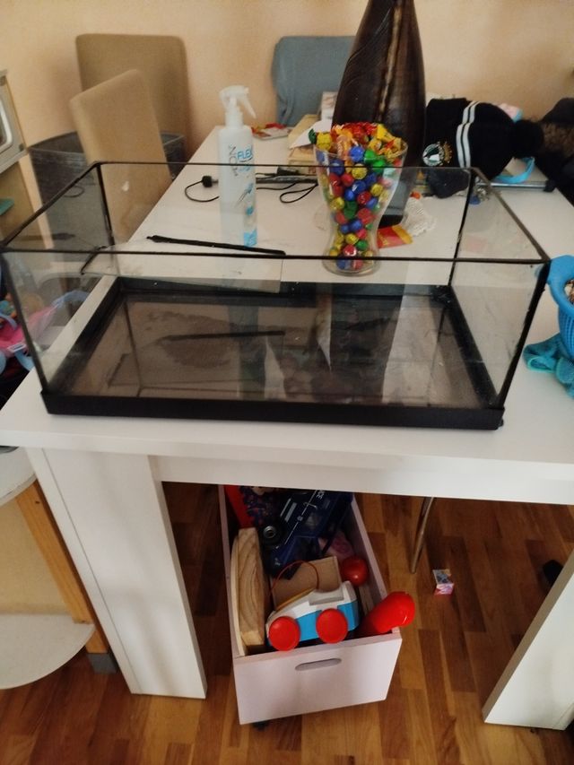 Terrareo para tortuga