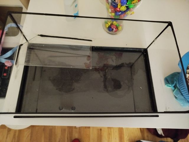 Terrareo para tortuga