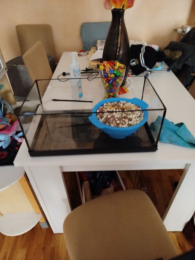 Terrareo para tortuga