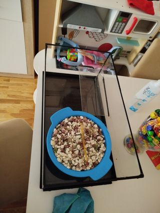 Terrareo para tortuga