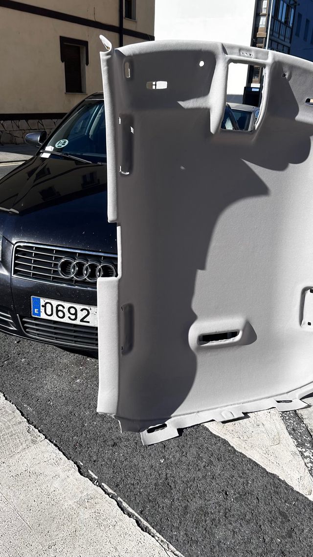 Tapizado de techo y puertas caidos