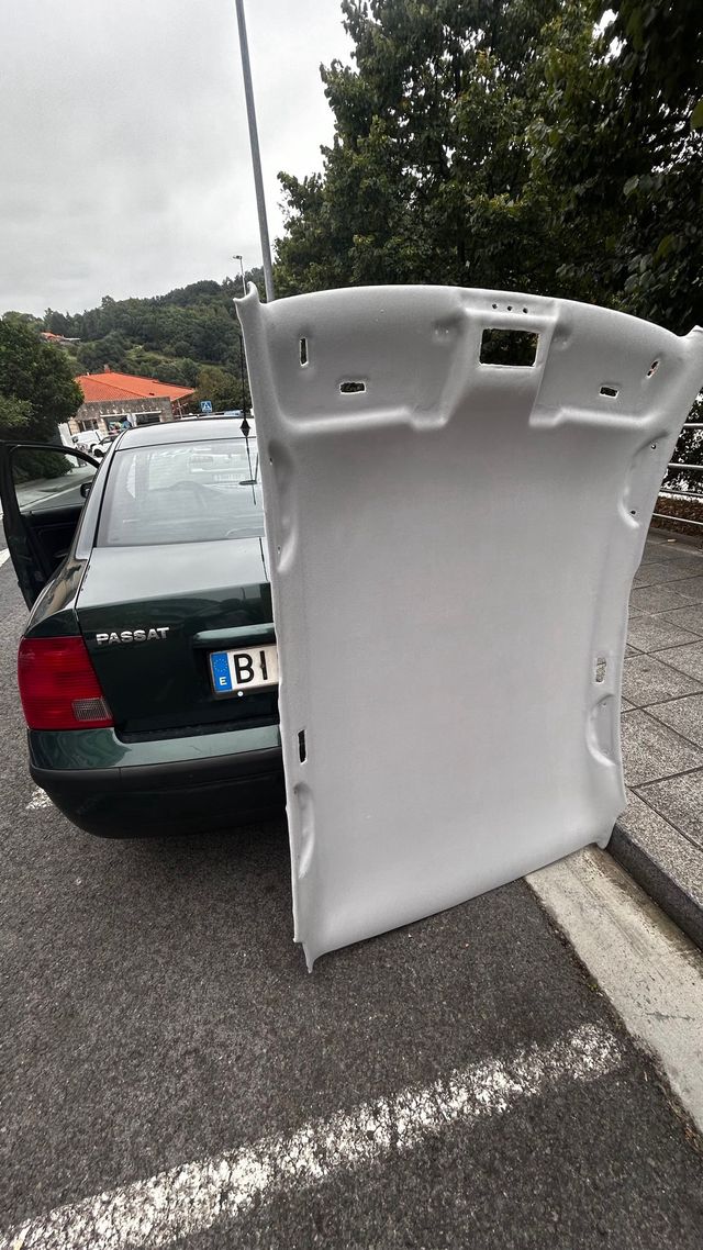 Tapizado de techo y puertas caidos