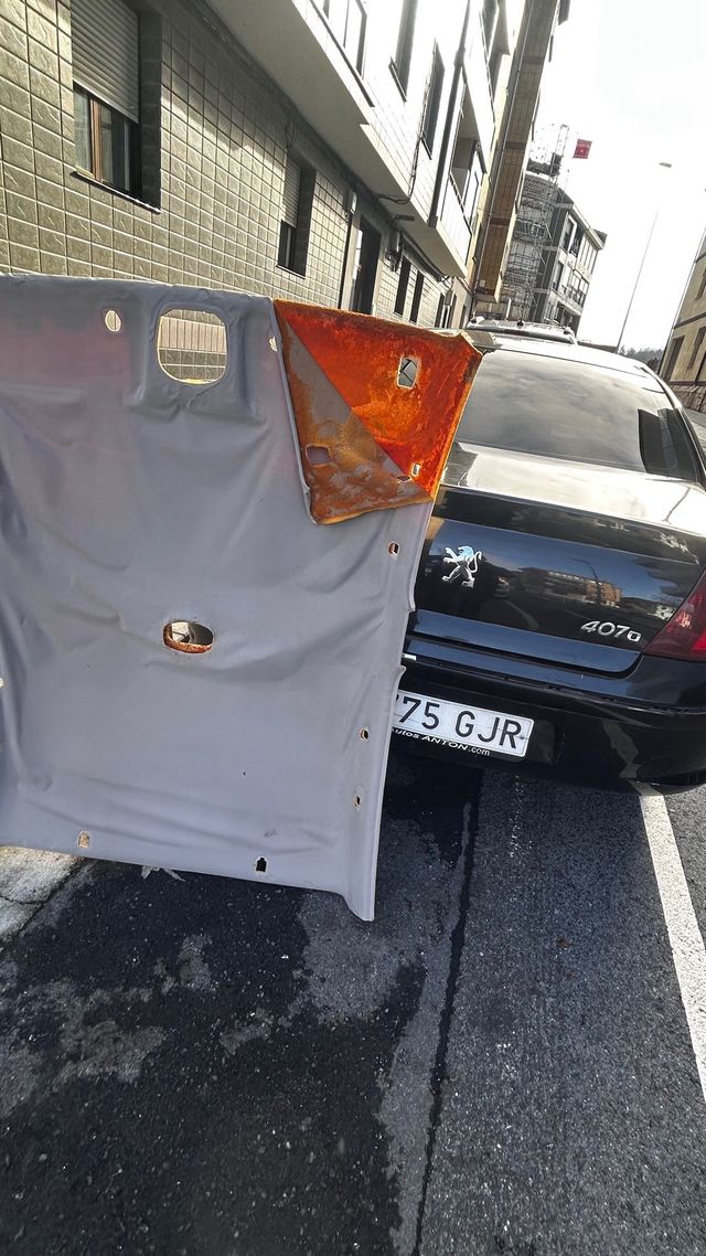 Tapizado de techo y puertas caidos