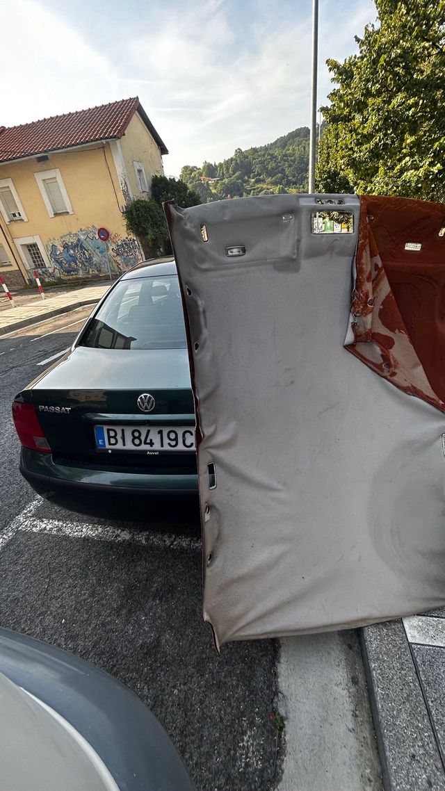 Tapizado de techo y puertas caidos