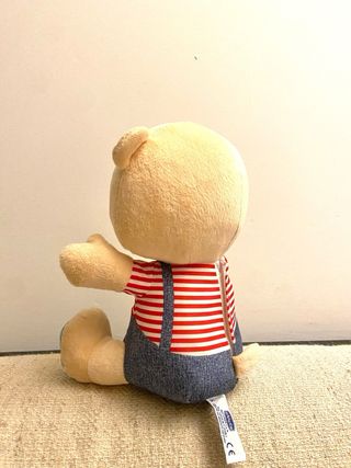 Teddy orso delle emozioni