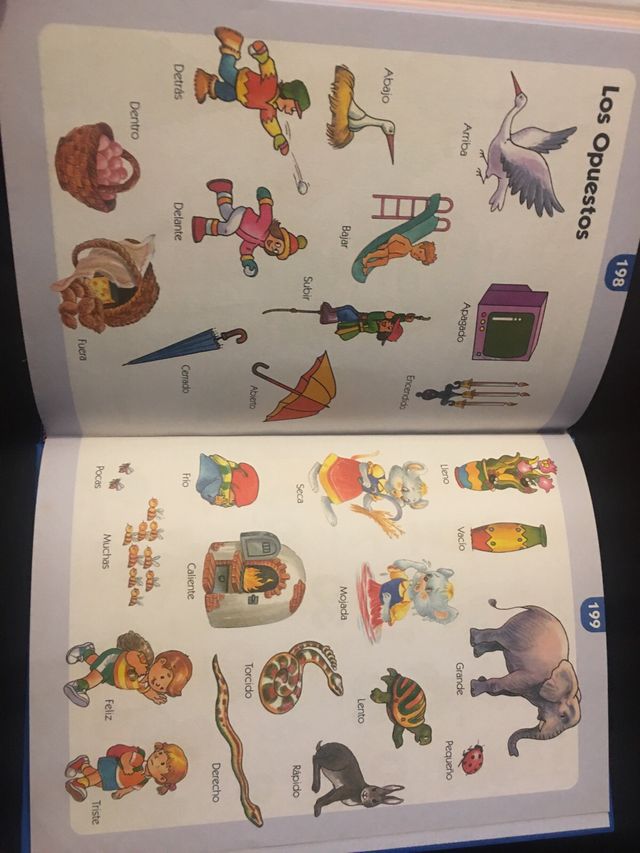 MI PRIMER GRAN DICCIONARIO. Diccionario Infantil.