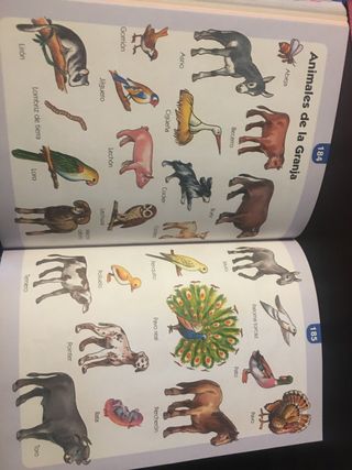 MI PRIMER GRAN DICCIONARIO. Diccionario Infantil. 