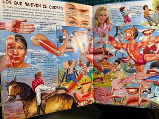 Busca cuerpo humano