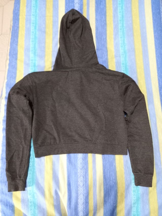 Felpa crop top Alcott grigia taglia S