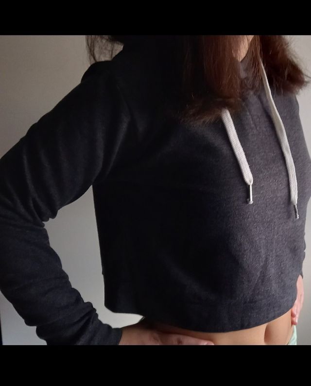 Felpa crop top Alcott grigia taglia S