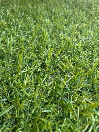 Top Sales Cesped 15mm artificial