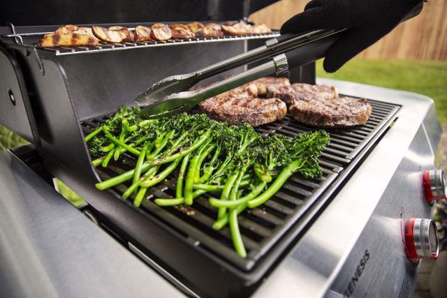 Barbacoa Weber Genesis E 415 Works 2025