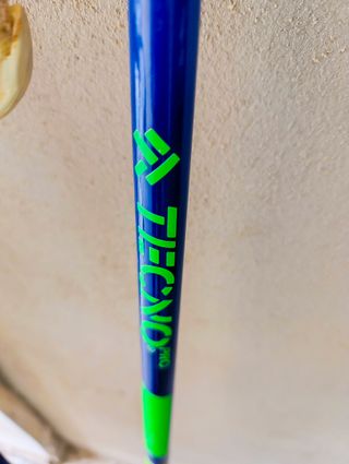 Esquis, bastones y fundas transporte.