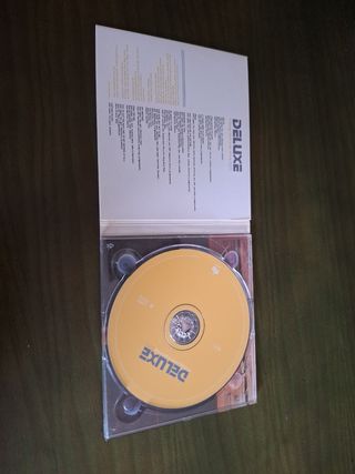 CD Deluxe, if things were to go wrong