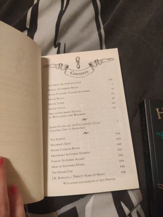 Harry Potter Slytherin