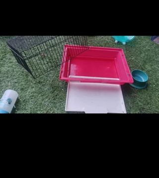 Jaula hamster