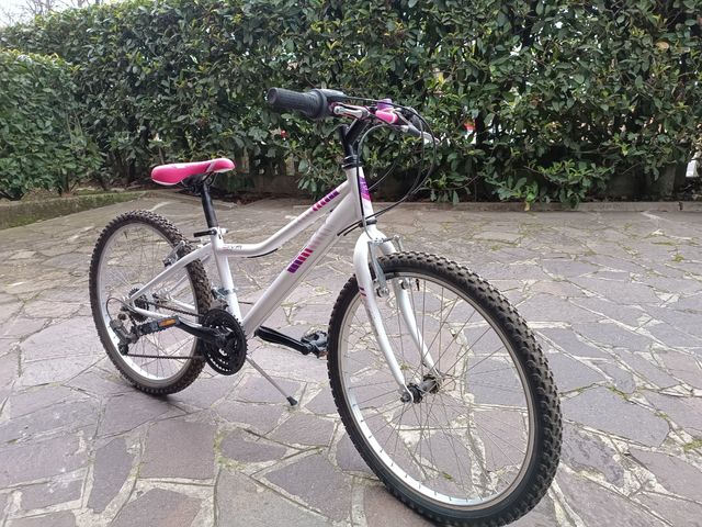 Bicicletta Regina Diva