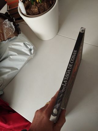 La saga de Conan nº 27/35 (Clásicos Conan) (Spanish Edition)