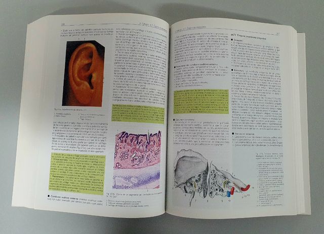 Anatomia 4b* Ed. - Estructura y Morfologia del Cuerpo Humano (Spanish Edition)