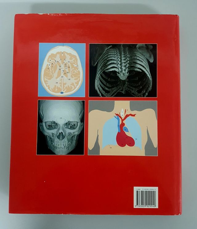Atlas De Anatomia Humana (Spanish Edition)