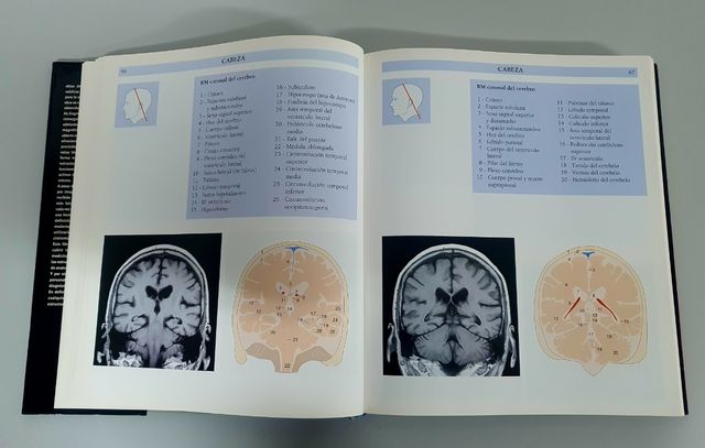 Atlas De Anatomia Humana (Spanish Edition)