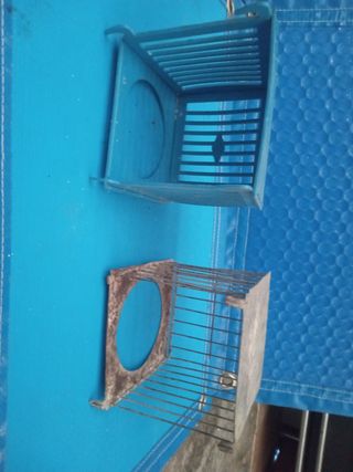 Caseta nido exterior