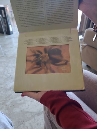 Giungla. Un libro illustrato in Photicular®