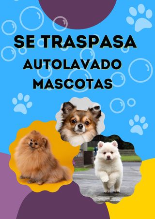 SE TRASPASA SUPERMERCADO EN ZARANDONA MURCIA