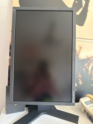 Monitor Eizo ColorEdge 222W foto y video. Pantalla