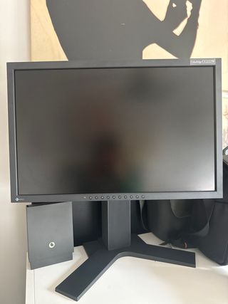 Monitor Eizo ColorEdge 222W foto y video. Pantalla