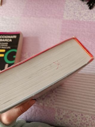 Diccionarios y vocabulario