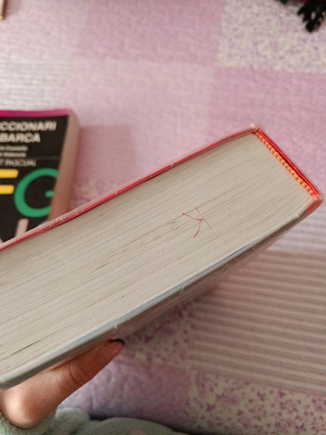 Diccionarios y vocabulario