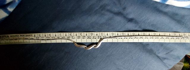 Collana girocollo vintage Avon