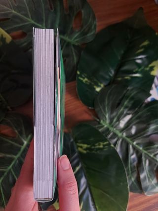 Manga paseos por el bosque